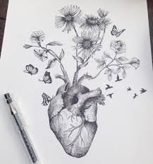 Creative  Sketching Course for All